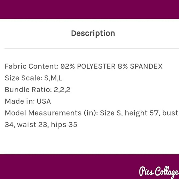 Feathers & Cactus Raglan Top - Picture 5 of 7